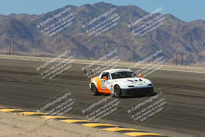 media/Oct-14-2023-Lucky Dog Racing (Sat) [[cef75db616]]/1st Stint Bowl/